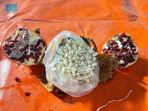 بسبب تهريب المخدرات.. السعودية تحظر الخضروات والفواكه من لبنان