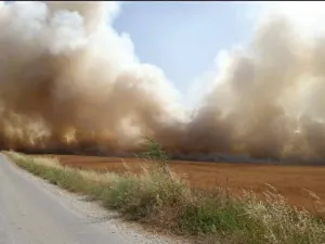 حرائق بإسرائيل مع استئناف إطلاق البالونات الحارقة من غزة