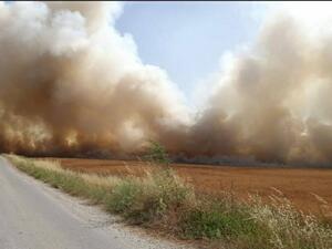 حرائق بإسرائيل مع استئناف إطلاق البالونات الحارقة من غزة