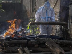 علماء هنود يرصدون طفرات يمكنها تجنب الاستجابة المناعية