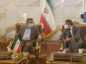 مدير الوكالة الذرية في طهران عشية انتهاء مهلة تقليص عمل المفتشين