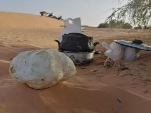 ارشيف