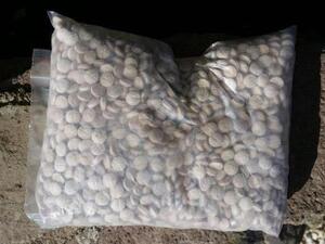 السعودية: ضبط عصابتي سطو وشحنة مخدرات من لبنان