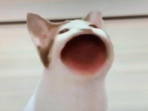 POPCAT Click
