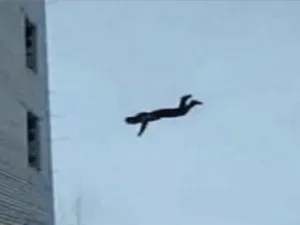 سوري ينتحر بإلقاء نفسه من الطابق الرابع لمستشفى بعد إصابته بكورونا
