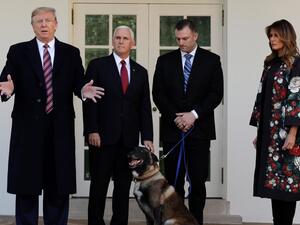 ترامب يكرم الكلب كونان لدوره في عملية قتل البغدادي