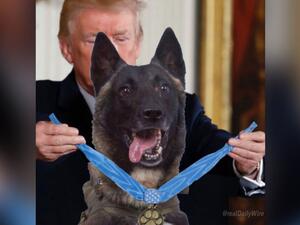 الصورة التي نشرها ترامب