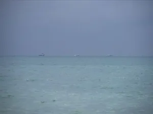 ارشيف
