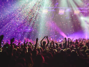 Concert crowd