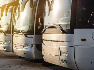 All buses will have one color, a logo, the name of the entity, speed limit sticker and contact information of the entity to report complaints