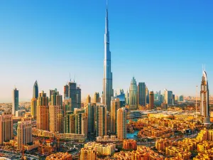 إجمالي المبيعات على الخارطة في جميع الفئات ارتفع بنسبة 23.6 في المائة 