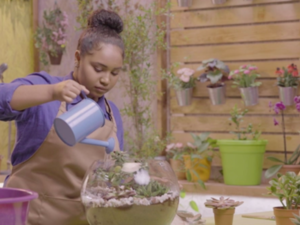 Using a practical approach, Green Thumb favors ‘‘Do-It-Yourself” techniques and skills to encourage children to apply the episode’s content in real life.