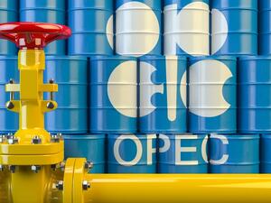 Saudi Arabia and Russia called on all producers to comply with oil output cuts under an OPEC-led supply deal.
