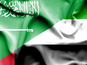 The total value of non-oil trade between the UAE and Saudi Arabia amounted to $29.4 billion in 2018 