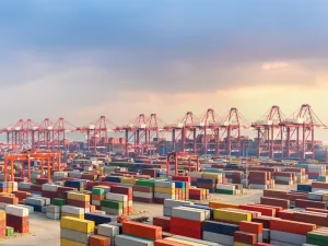 WTO Unveils New import Licensing Platform