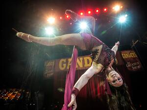 Circus show (Twitter)