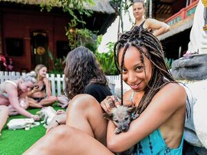 Hostel in Ubud (Twitter)