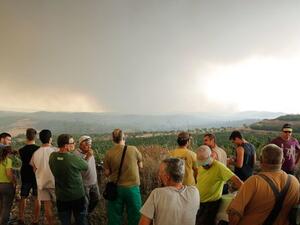Temperatures hit 45.9 degrees Celsius on Friday in southern France (Twitter)