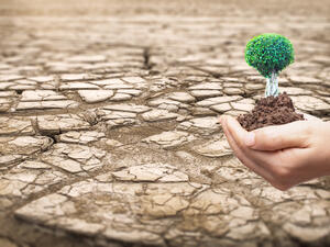 World Day to Combat Desertification and Drought (Shutterstock)	