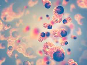 Cancerous Cells (Shutterstock)	