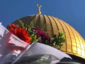  فتح التحقيق الجنائي في أسرع وقت ممكن وصولاً لإجراءات محاكمة مسؤولي سلطات الاحتلال الإسرائيلي