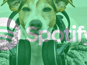 Spotify 
