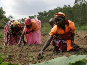  طواقم من "الصحة العالمية" استغلوا نساء أفريقيات جنسيا