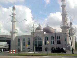 مجهولون يرمون رأس خنزير في موقع بناء مسجد بألمانيا