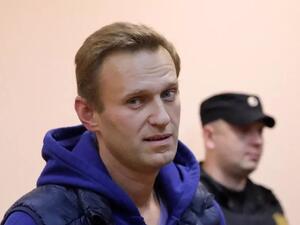 أليكسي نافالني