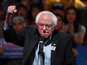 بيرني ساندرز