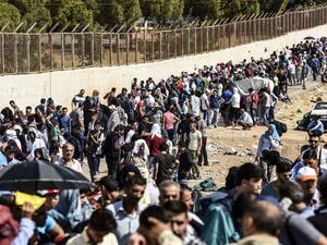 مهاجرون بالجمله 