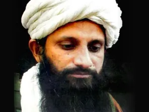 عاصم عمر