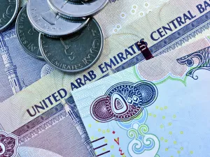 تعتبر السيولة الأجنبية الداخلة للبنوك العاملة بالدولة أحد أهم مؤشرات الثقة التي تتمتع بها البنوك الوطنية في الأسواق الدولية