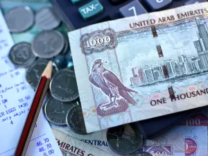 يعد قطاع البنوك في أبوظبي، والإمارات بشكل عام، من أهم القطاعات المالية الداعمة للاقتصاد الوطني
