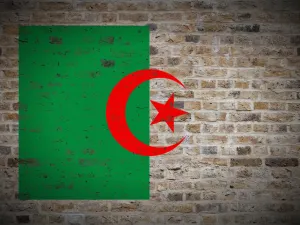 بلغت قيمة صادرات الجزائر من الإسمنت خلال الأشهر السبعة الأولى من العام الجاري، نحو 42 مليون دولار فقط