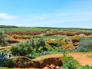 تأتي تطلعات المغرب، بينما كان البنك الدولي قد توقّع، في تقرير في إبريل/نيسان الماضي، أن ترتفع أسعار الأسمدة بنسبة 2.2 في المائة في العام المقبل