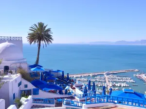 تونس