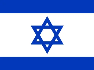 تعتبر الشركة المذكورة من الشركات الاستخباراتية التي نشطت أيضاً وتدخلت في الانتخابات العامة في جورجيا عام 2018