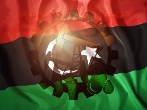 تصرف ليبيا سنويا على دعم غاز الطهو المُصنّع محلياً نحو 114 مليون دينار