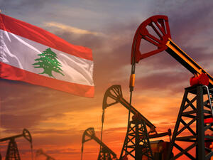 في موضوع بدء التنقيب عن النفط، قالت عبد الصمد إن رئيس الجمهورية أعلن أن سفينة التنقيب عن النفط وصلت إلى الشاطئ اللبناني وستبدأ عملها خلال 48 ساعة