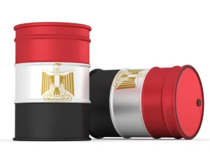 الاتفاقية الأولى بمنطقة امتياز جنوب شرقي سيوة بالصحراء الغربية مع الهيئة المصرية العامة للبترول وشركة «أيوك»، باستثمارات حدّها الأدنى نحو 17 مليون دولار