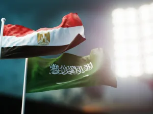تملك "فودافون" 55% في "فودافون مصر"، بينما تحوز المصرية للاتصالات النسبة الباقية