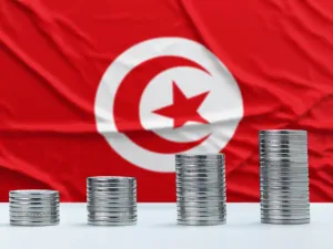 يقدر معدل الاستثمار في كل مشروع بنحو 15 مليون دينار تونسي (نحو 5 ملايين دولار)، وهو يساهم في توفير نحو 500 موطن شغل