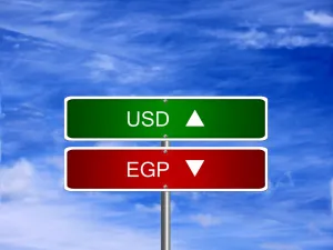 يباع الدولار مقابل 16.16 جنيهاً