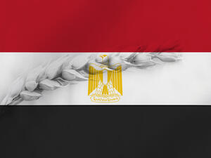 مصر تدرس إنشاء مخازن عملاقة للسلع الأساسية