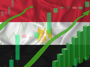 مصر تشهد زيادة في تأسيس الشركات بـ 15% خلال حزيران