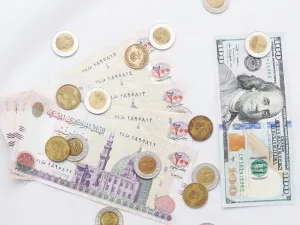 كلفة الفساد في القطاع ‏الحكومي تصل الى 600 مليار جنيه (ما يزيد عن 60 مليار ‏دولار