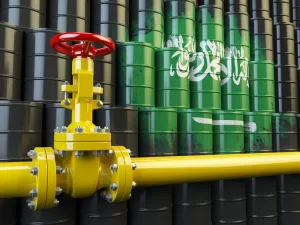 رؤية السعودية تدخل في الوقت المناسب 