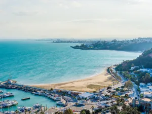تونس