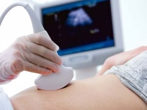 متى يظهر نوع الجنين بالسونار ثلاثي الأبعاد؟